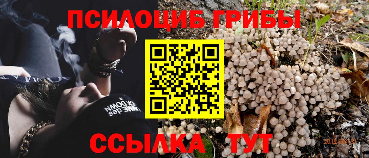 Галлюциногенные грибы Cubensis Тамбов